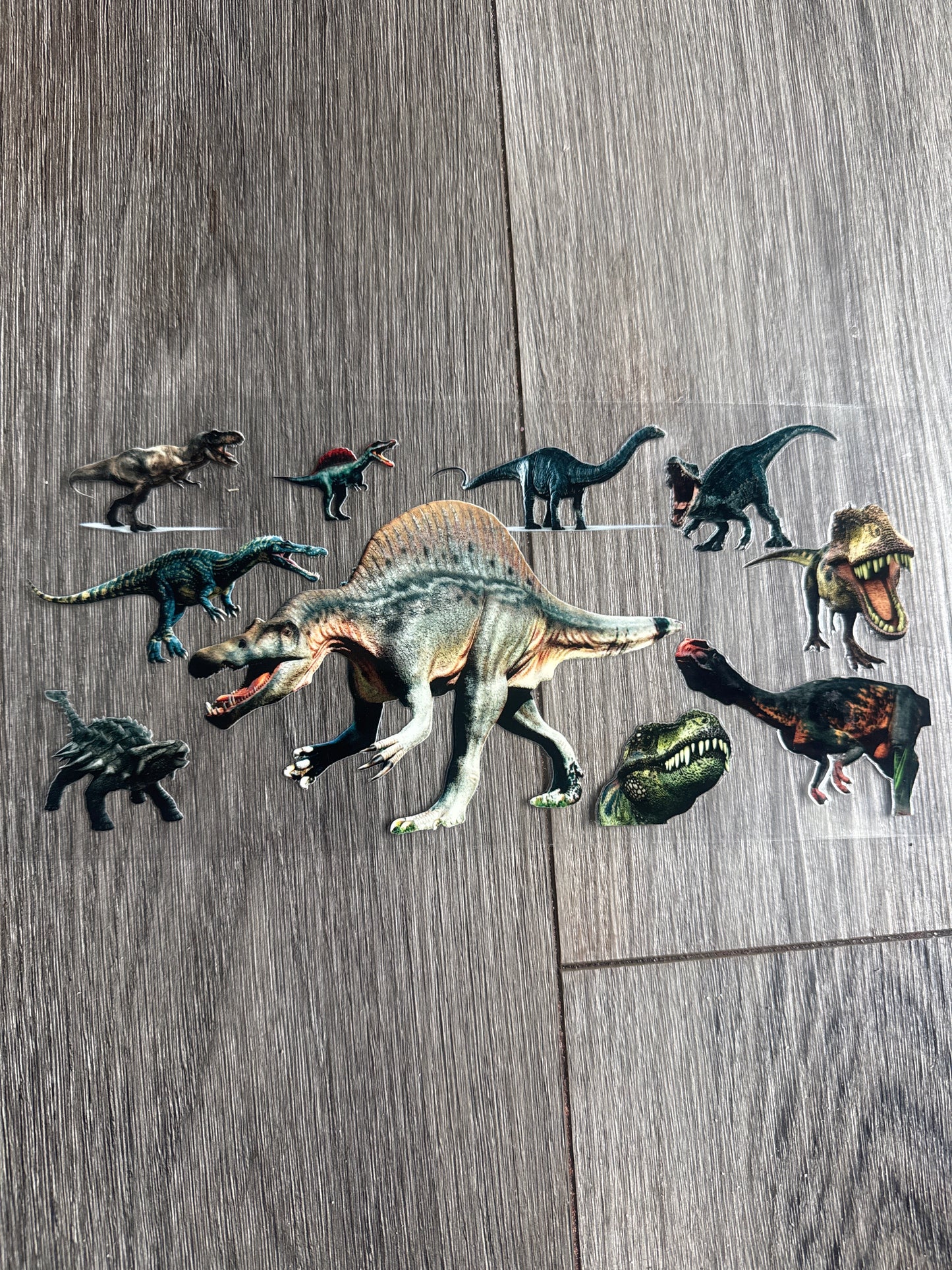 Dinosaur