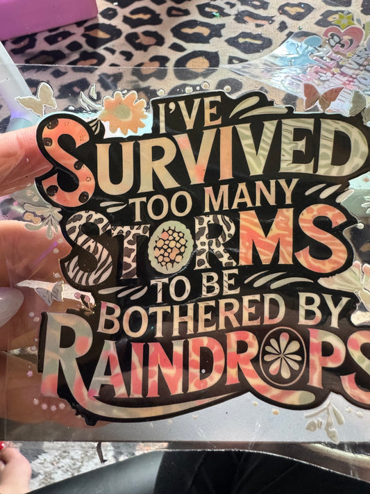 Survived too many storms