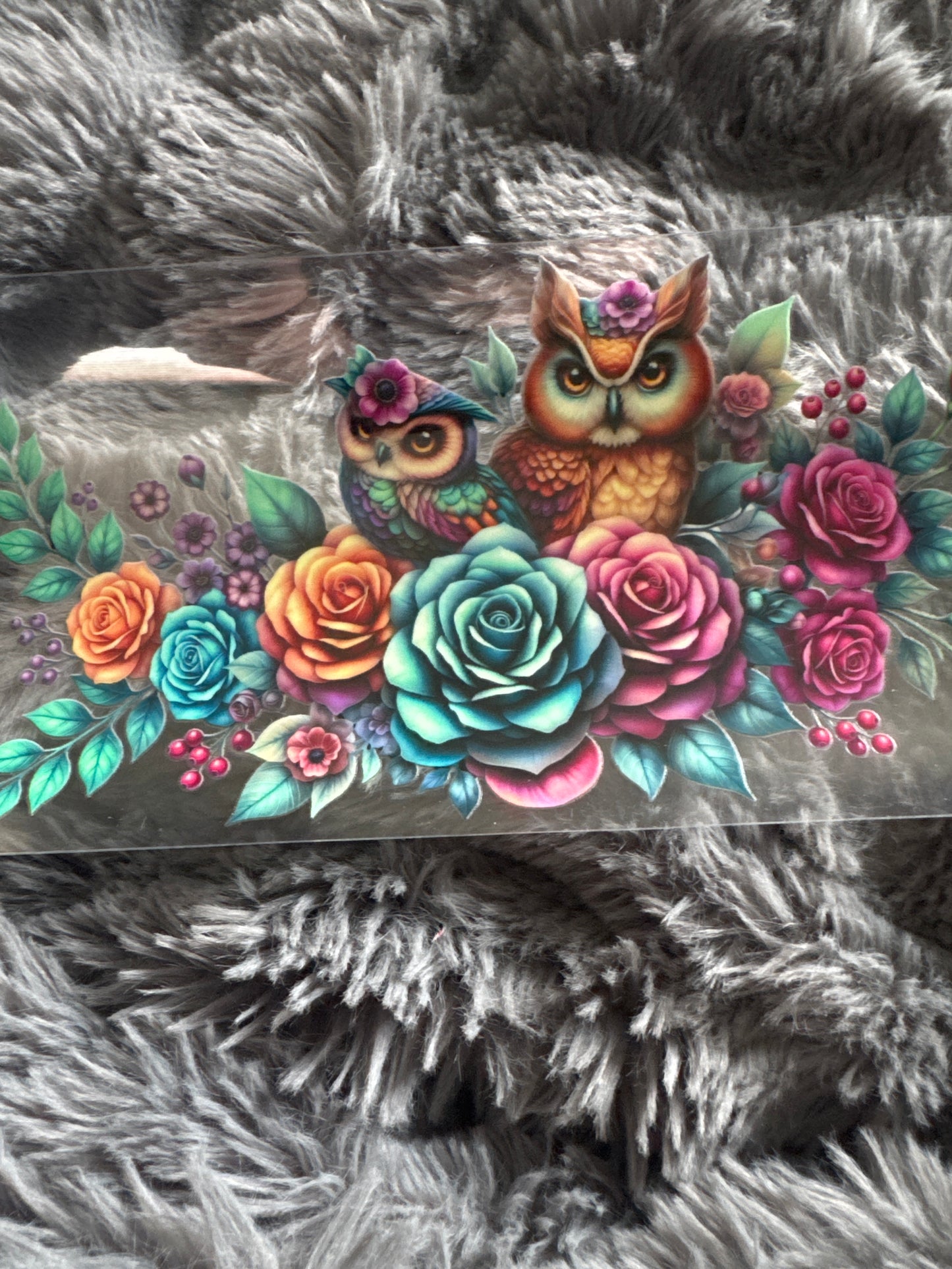 Owls