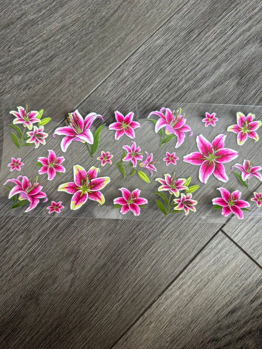 Lilly’s