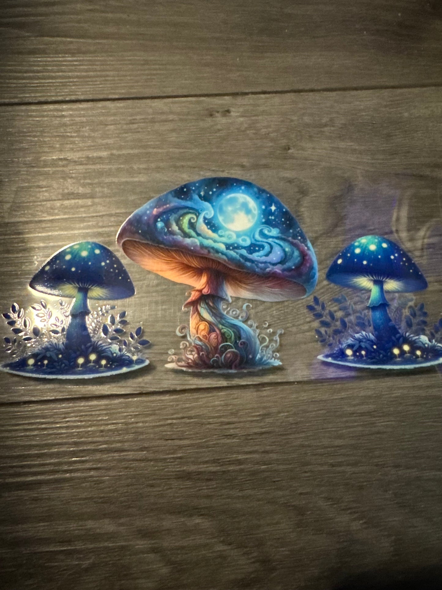 Mushroom - 3