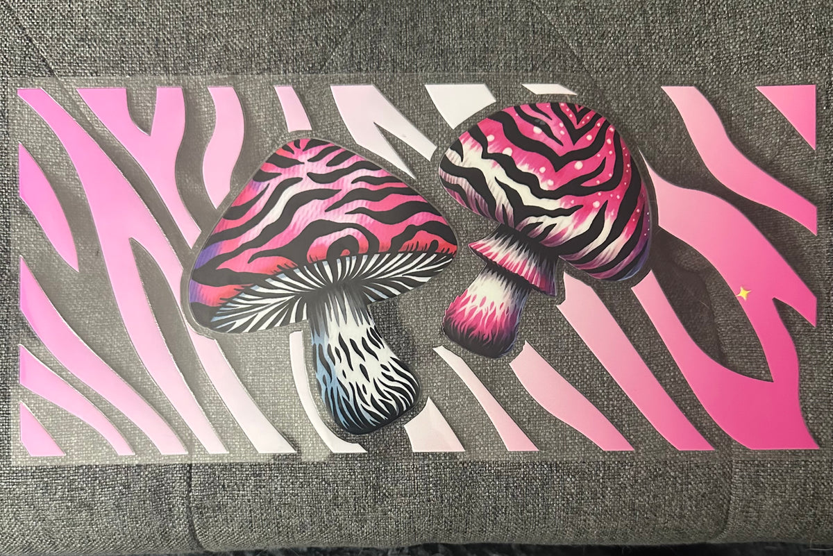 Pink Zebra Mushroom