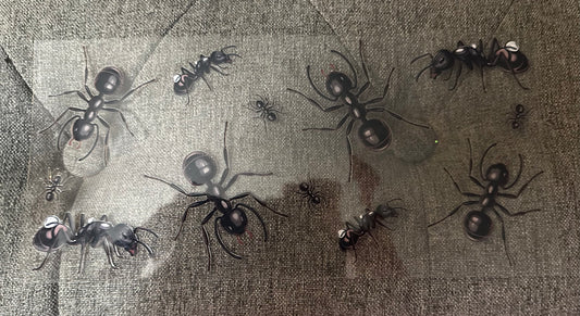 Ants