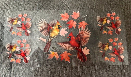 Maple Leaf Cardinals