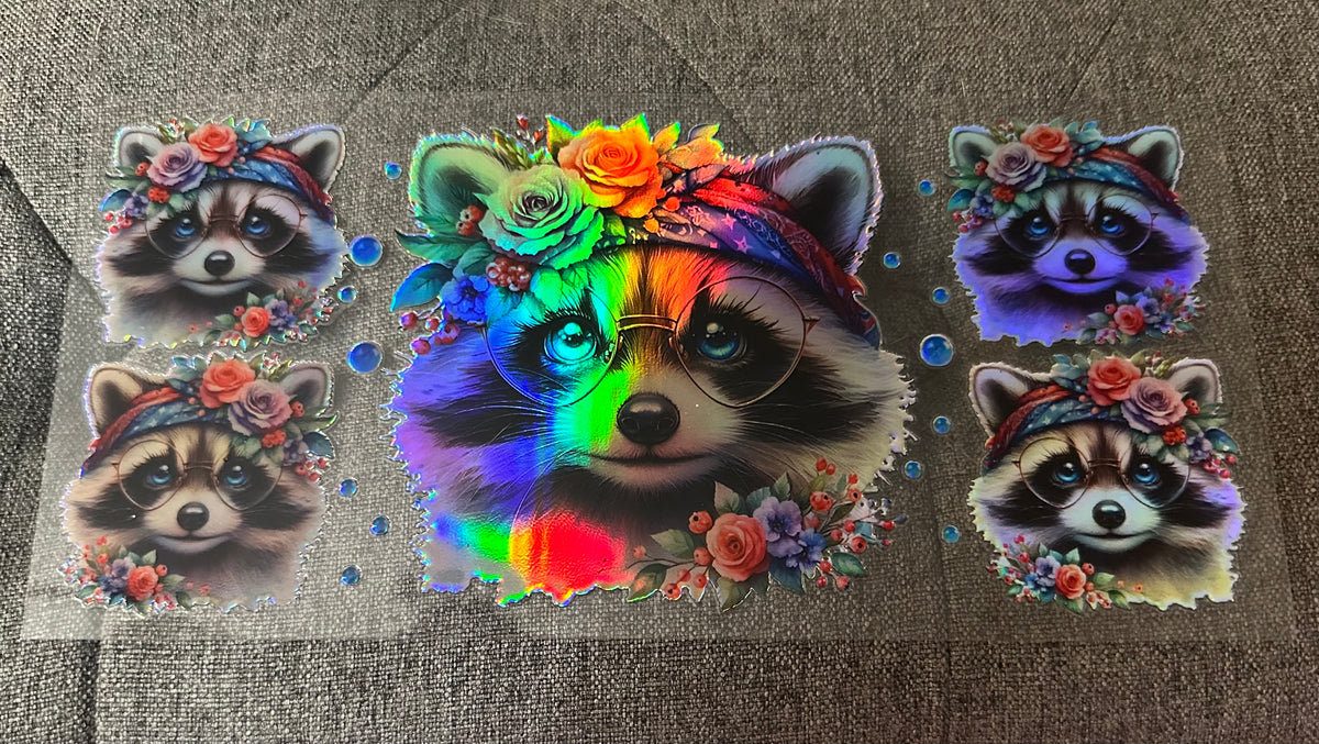 Holographic Raccoon