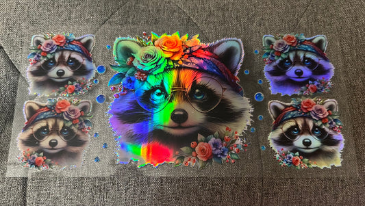 Holographic Raccoon