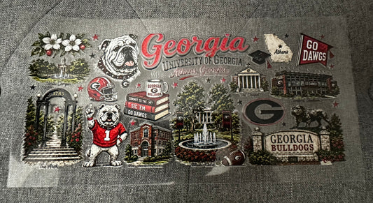 University If Georgia