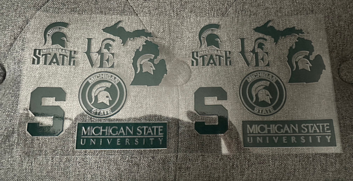 Michigan University