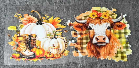 White Pumpkin