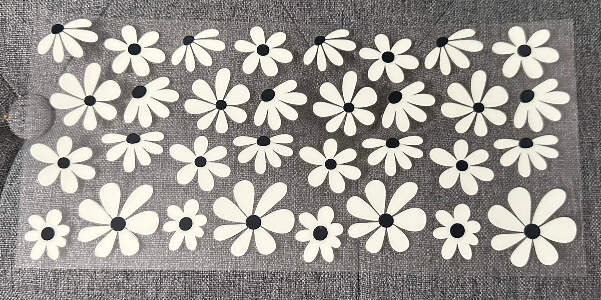 Black & White Daisy