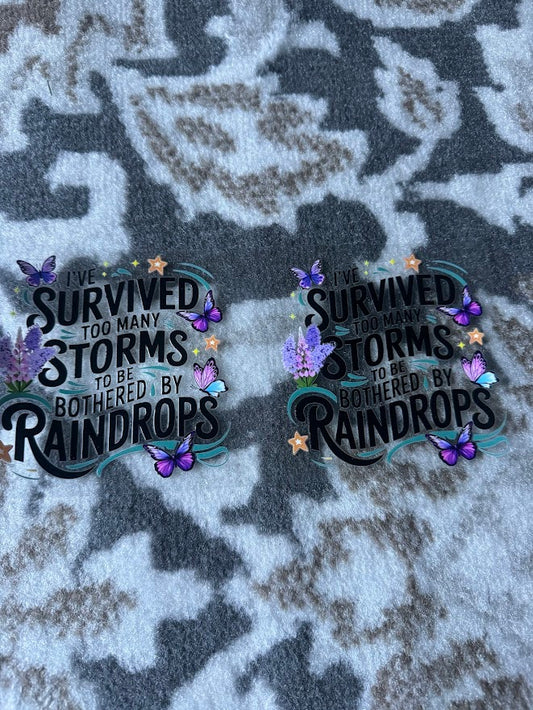 Survived Storms