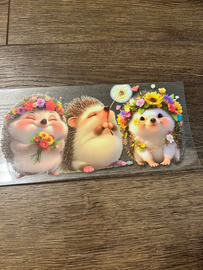 Hedgehog