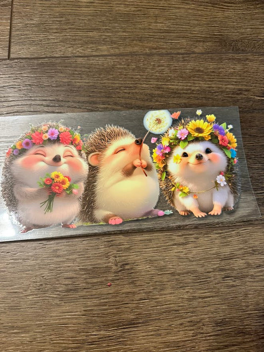 Hedgehog
