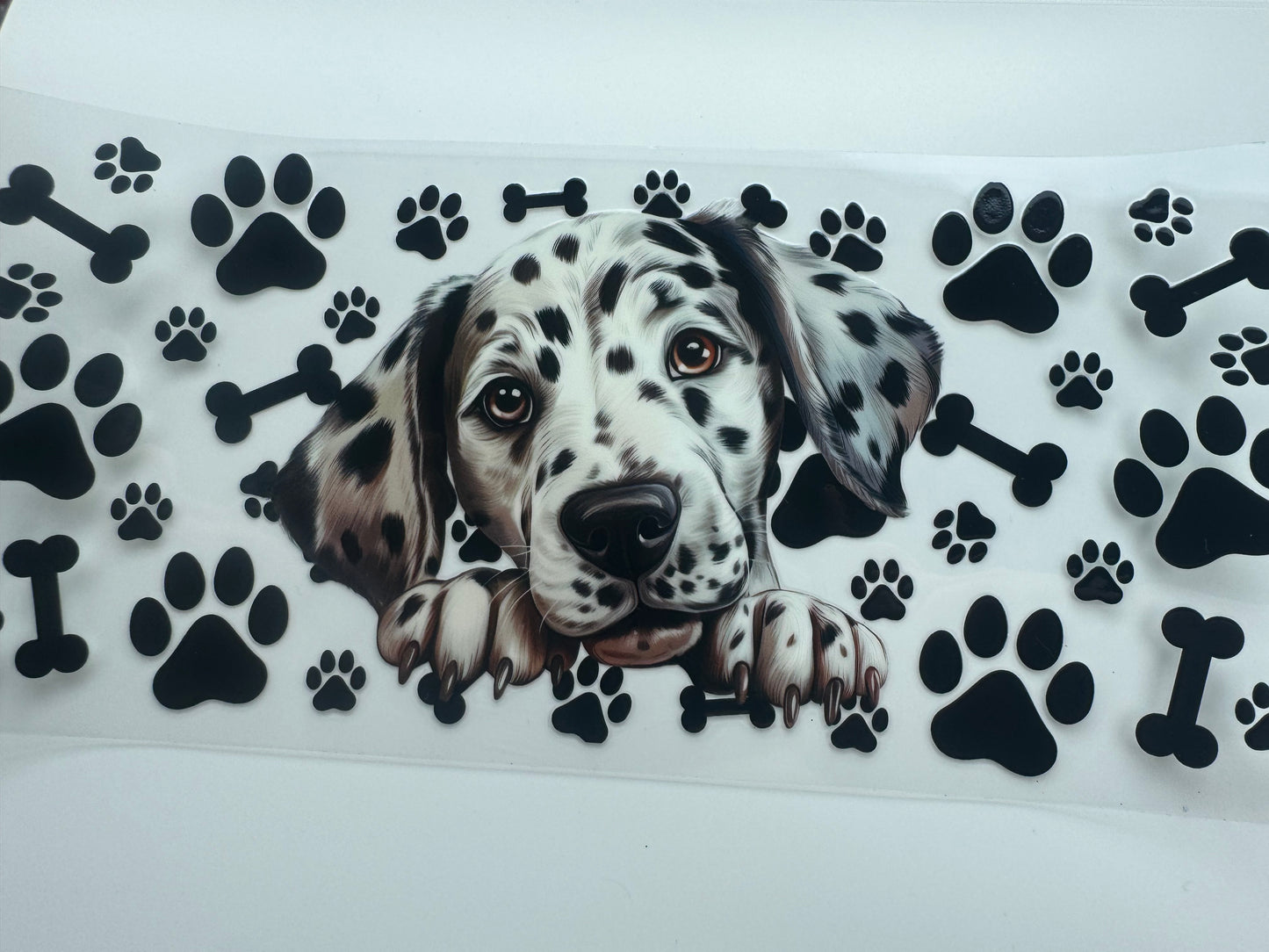 Dalmatian