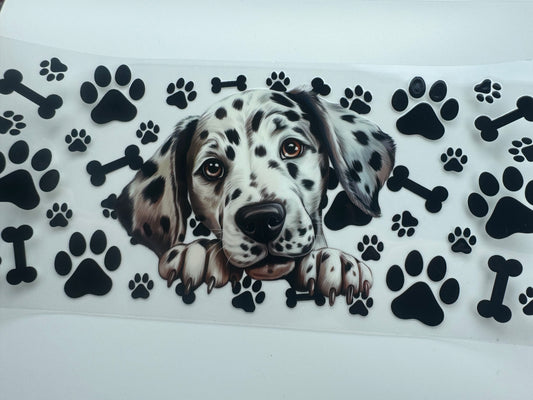 Dalmatian