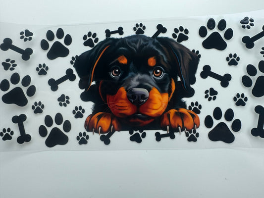 Rottweiler