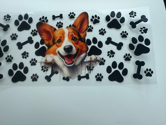 Corgi