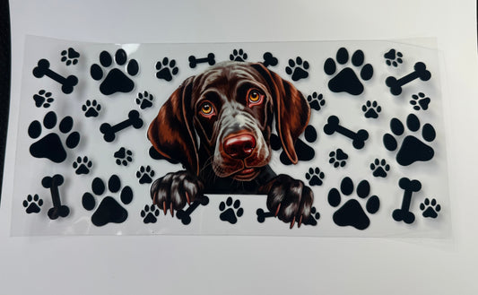 Lab