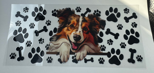 Collie