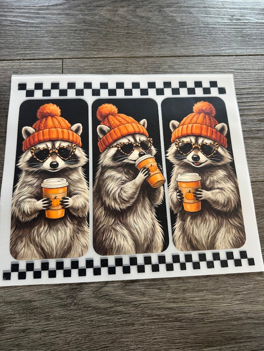 Pumpkin Spice Racoon
