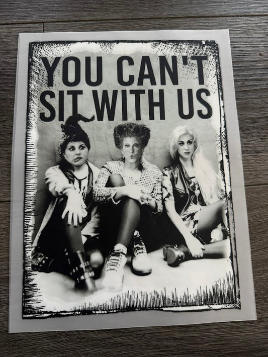 You Can't Sit With Us