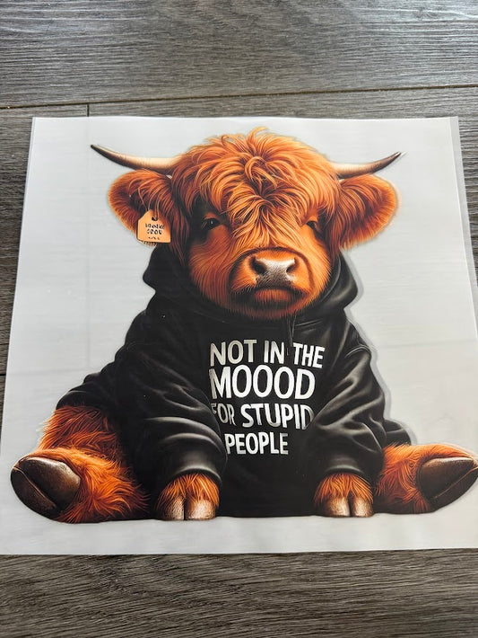 Not In The Mood