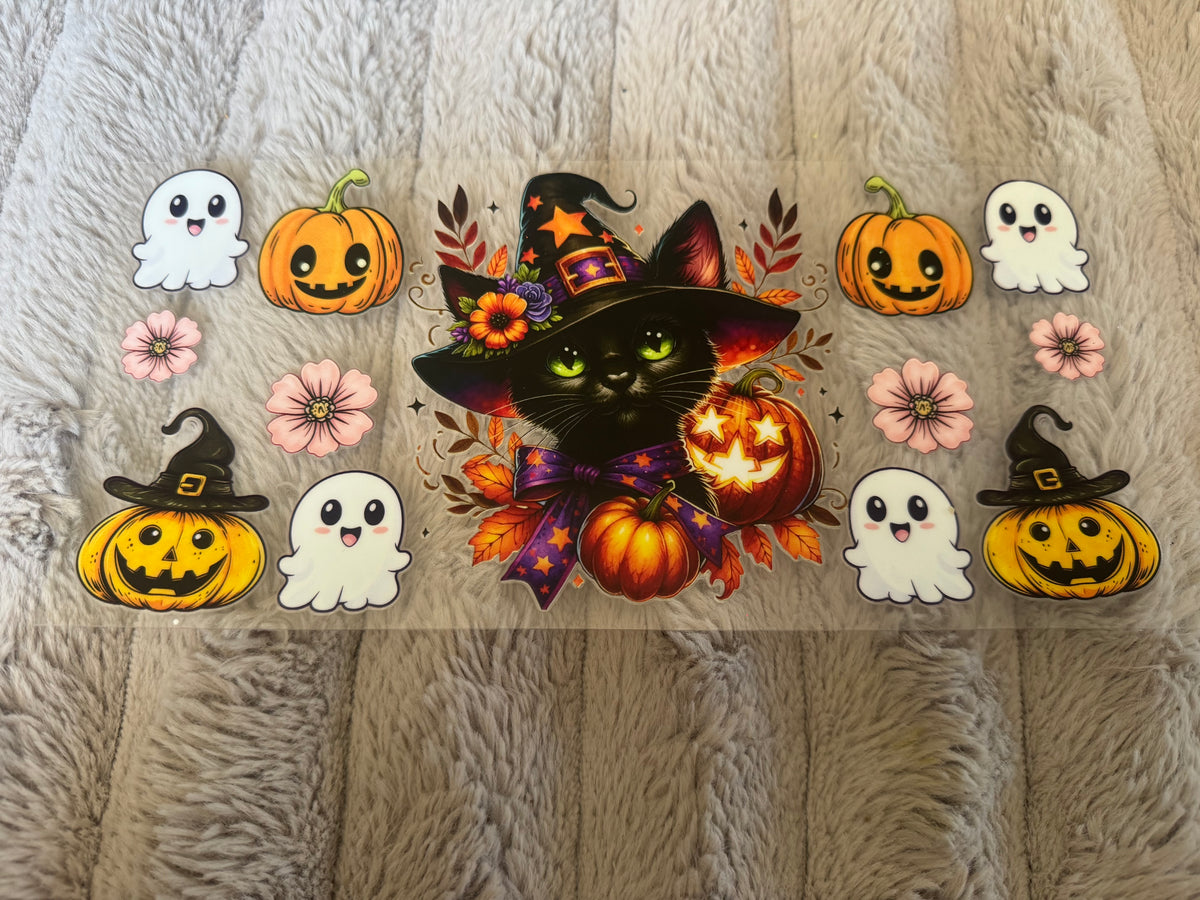 Witch Hat Cat