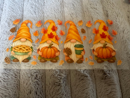 Fall Gnomes
